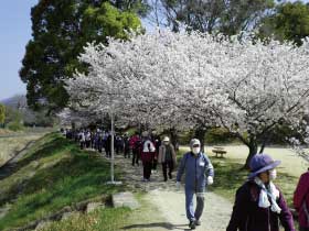 組合員活動の様子